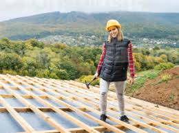 Best Roof Insulation Installation  in Eldora, IA